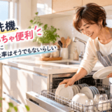 食洗機、めっちゃ便利なのに普及率はそうでもないらしい